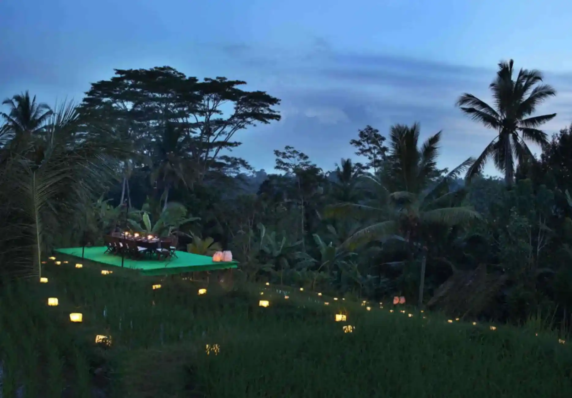 Alila Ubud-1